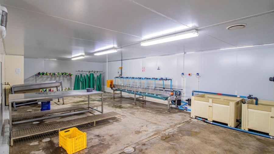 Commercial Property for Sale in Kleinmond Western Cape